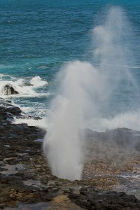 Blowhole 