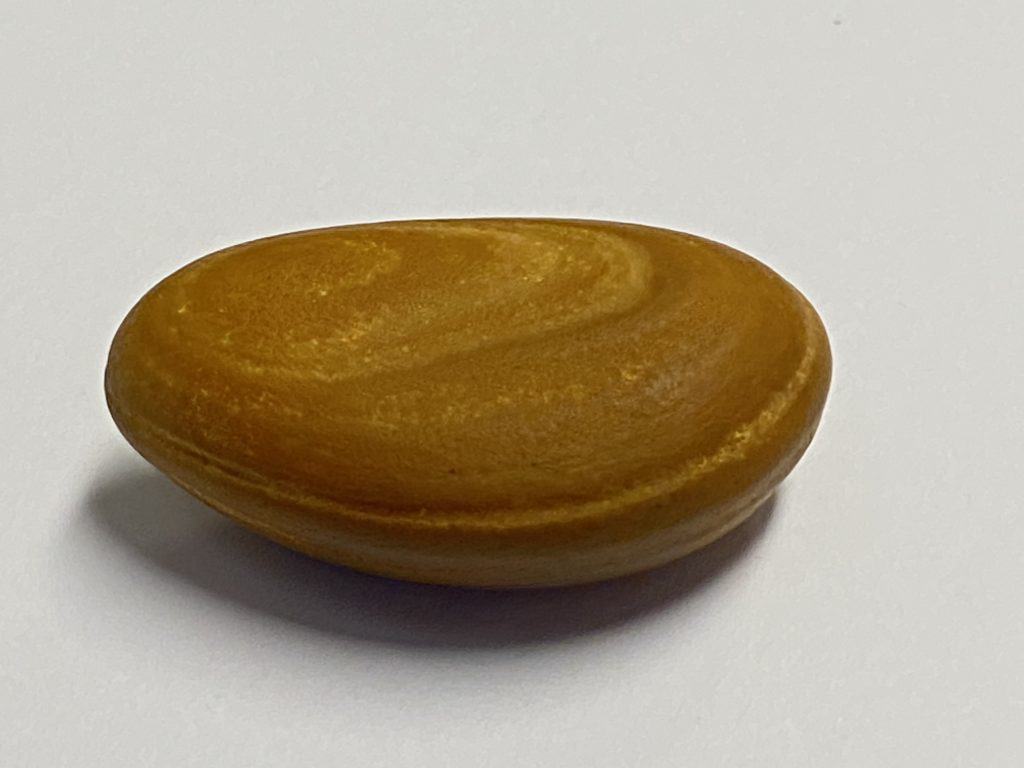 A river pebble worn smooth